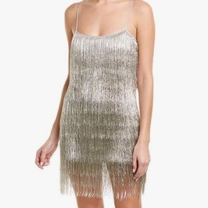 Rachel Zoe Metallic Fringe Dress Size Small